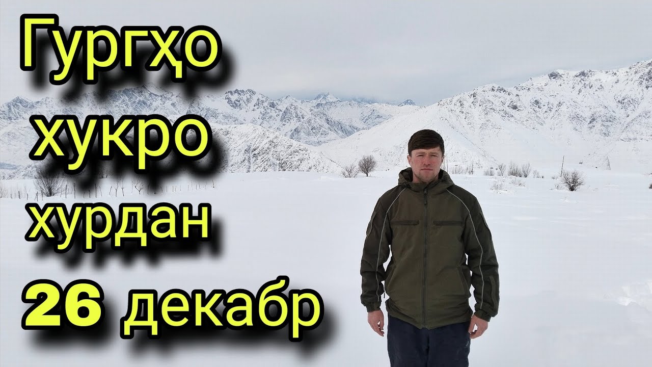 26 декабрь 2025 Гургхо хукро хурдан дар зимистони сарду хунук эхтиёт бошед.گورحا خوکرا خوردند