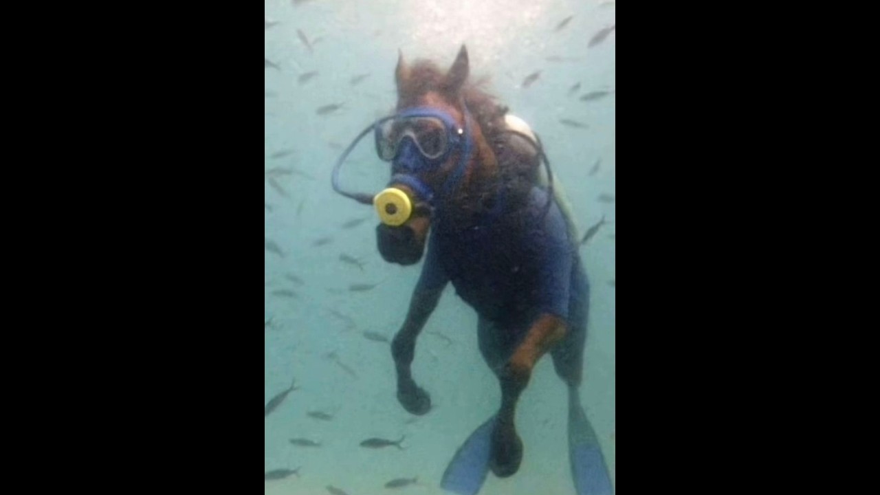 Trap Type Beat | prod. Di’assis | *3*