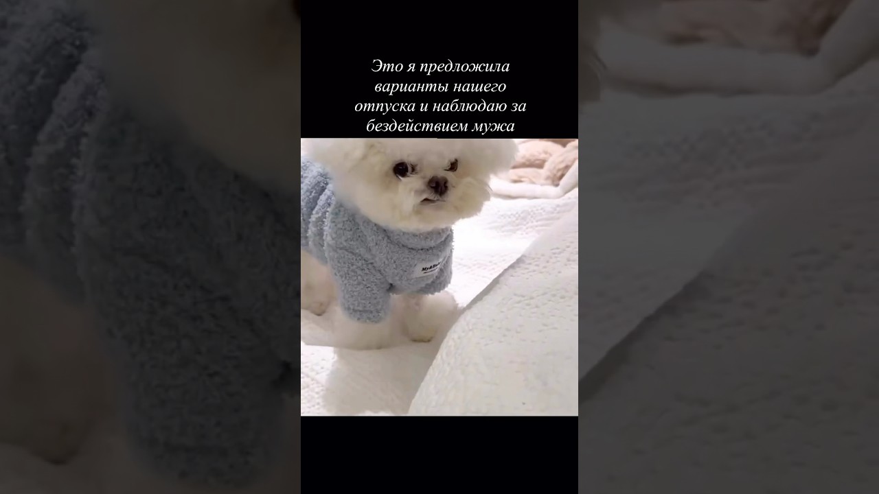 Ты будешь решать, а? 🤨