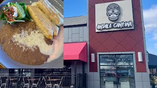 Andale Cantina - Mexican Restaurant in Williamsville NY