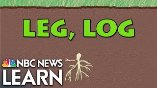 Word Roots: Leg, Log