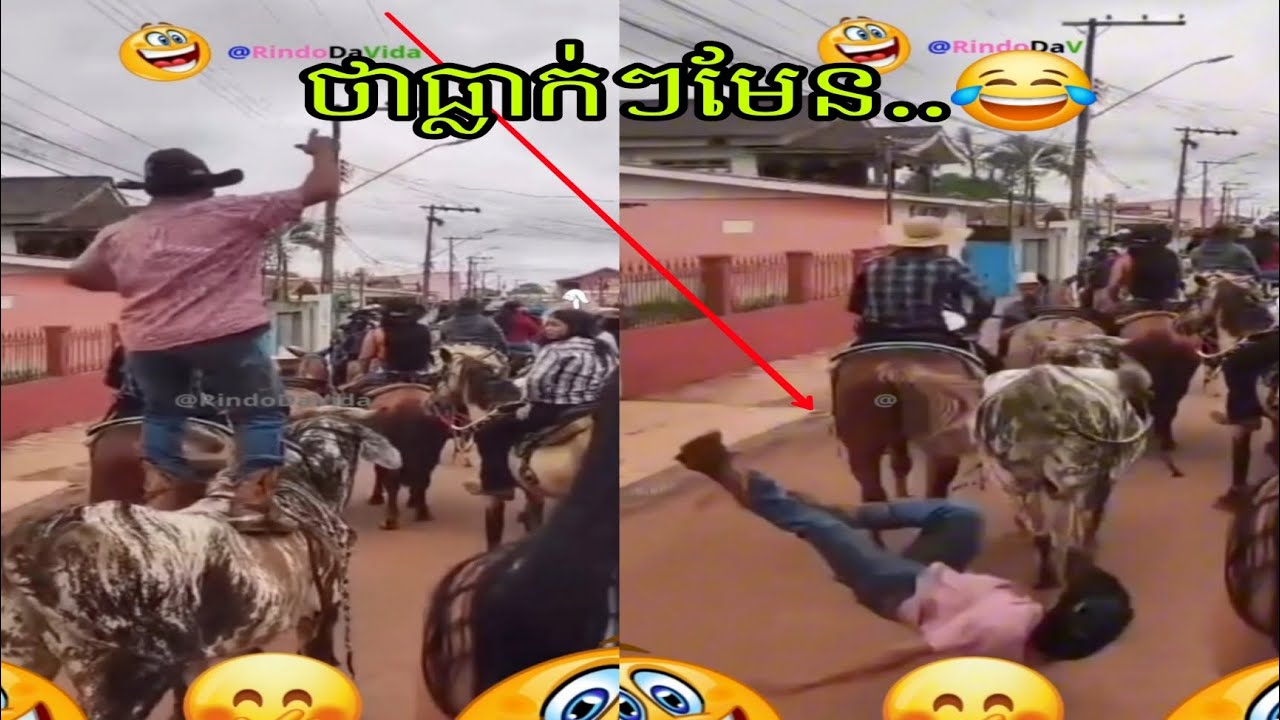 សុទ្ធតែសា/ច់..😂