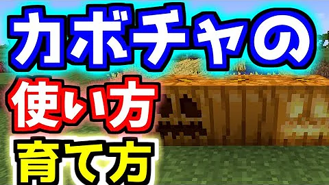 超便利 簡単な自動かぼちゃくり抜き機の作り方 飾りカボチャ製造装置 統合版マイクラ 1 16 221 Mp3