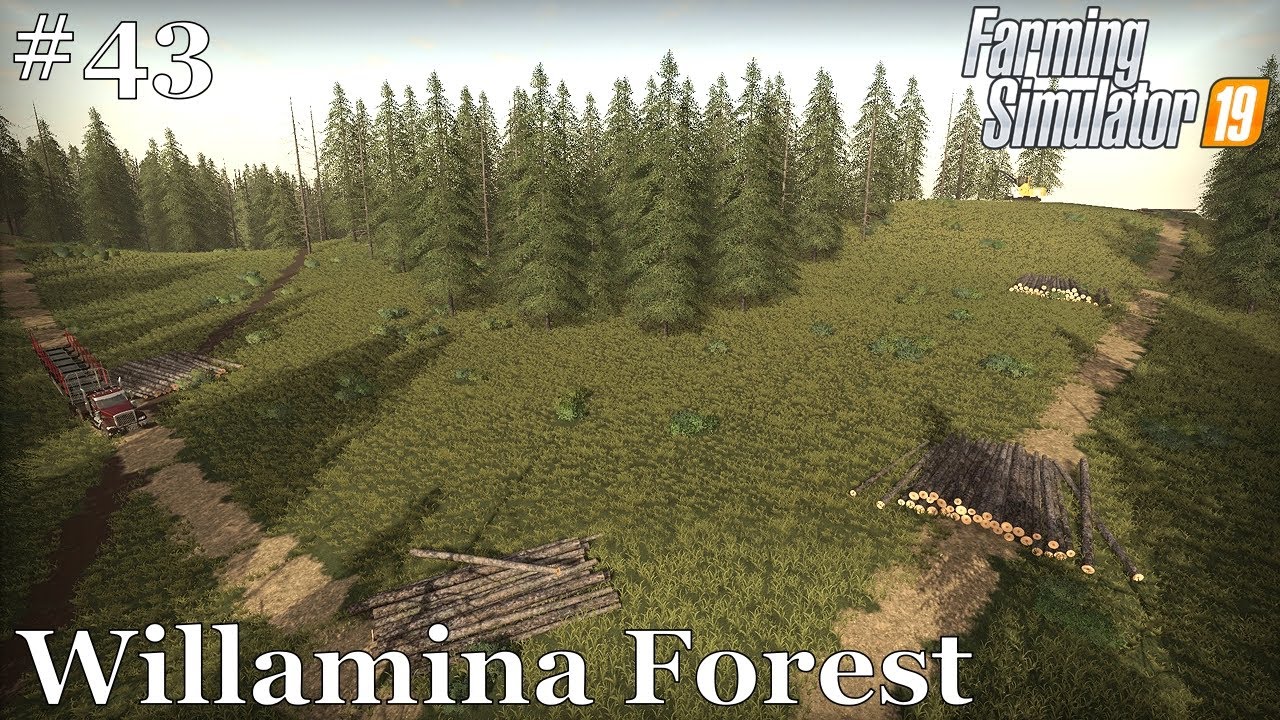 Willamina Forest 43Clearing Trees for a New FieldMid Spring Year 2