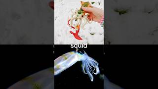 Sea Animal Names Kids Learn In The Snow Starfish Squid Sperm Whale Sea Slug Sea Dragon