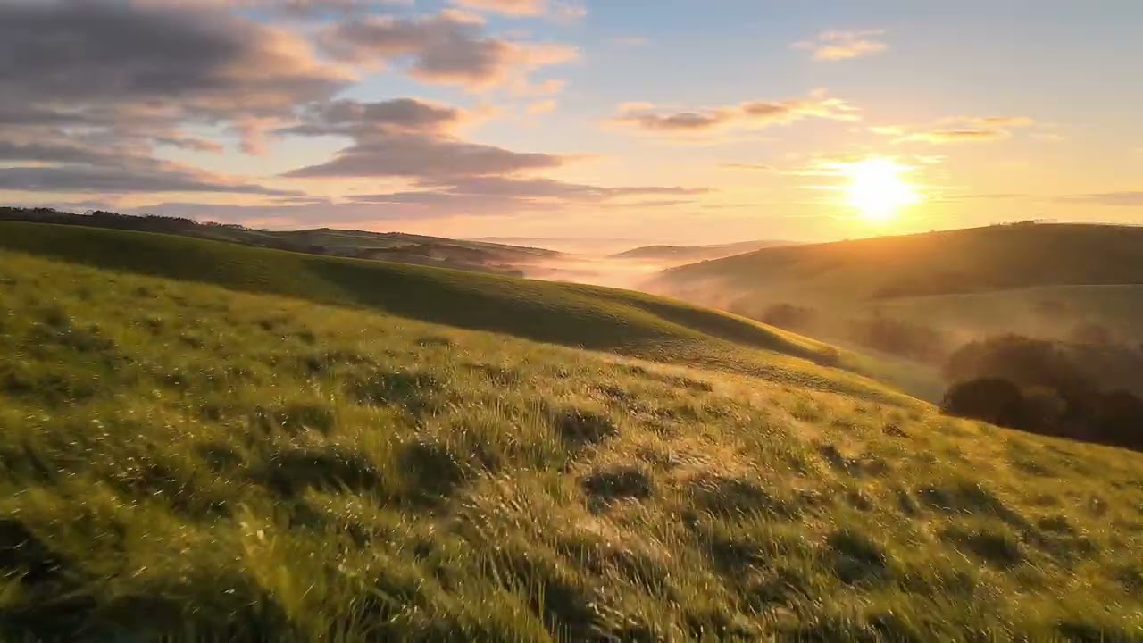 Peaceful Field 🌾 Calming Music & Nature Sounds for Relaxation | WAVERA | EP10