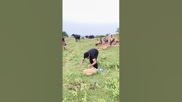 Pair Mud Gaya😔😔| Pathar per stunt 😮😮| Back Flip Stunt🥵🥵|