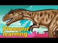 Dinosaur Carcharodontosaurus Collection | What is this dinosaur? | carnivorous dinosaur | 공룡
