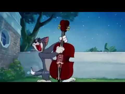 اول ماعرفت انك عايزنى جيت قوام