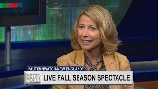 Autumn- New England