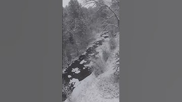 Flying my DJI Avata 2 in the Wyoming snow | Cinematic FPV Drone #fpv #drone #wyoming