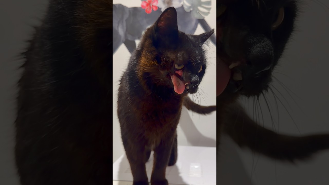 🥳 Время вечеринки, время игр 