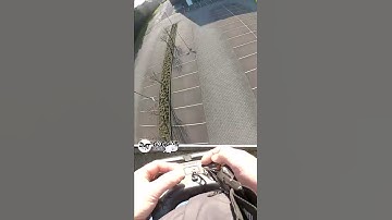 FPV freestyle flight apex 5 #fpv #freestyle #drones