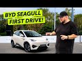 BYD Seagull Review: Can a small budget EV be fun to drive?