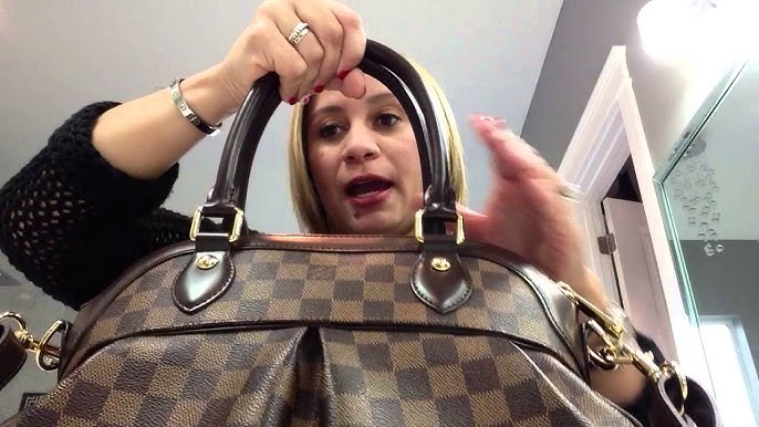 Louis Vuitton Damier Canvas Evora MM Bag - Yoogi's Closet