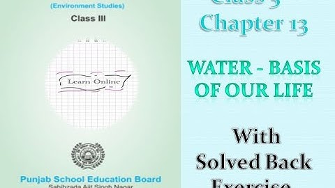 |Class 3rd|EVS|PSEB|Chapter 13[Water Basis Of Our Life]