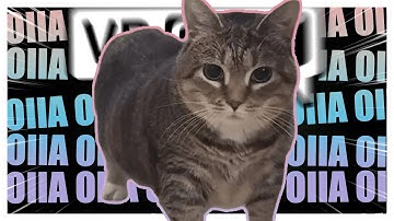 OIIAOIIA (Spinning CAT meme) takes over VRCHAT lobbies