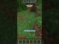 Minecraft, Injak Grass = Video Selesai