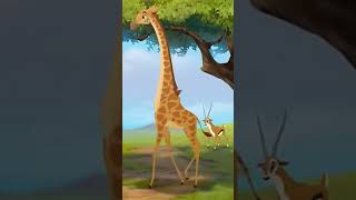 African Animals Alphabet 4 Part 2