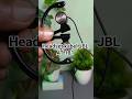 Headset kabel JBL AT 181
