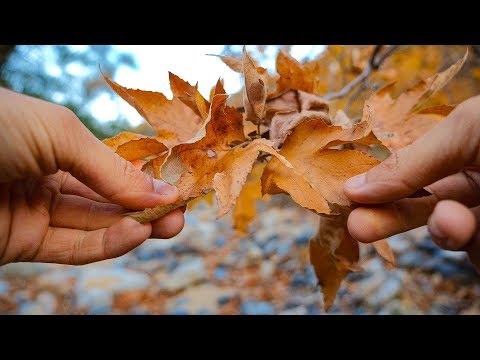 Artsy ASMR