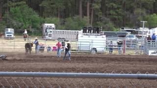 2017 Merchant Cow Milking With Eric Hess Tyler Jensen And Jason Tolman