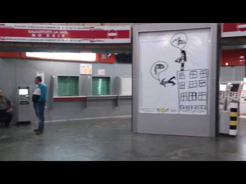 მეც მოქალაქე ვარ1