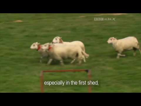 camera iphone 8 plus apk Kelvin Broad & Levi (Supreme Qualif 2016)