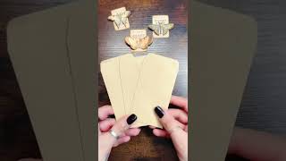 Morning play: Moth Envelopes Pockets