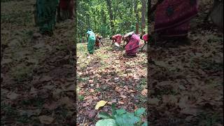 Aaj mujhe putu uthane me bahut maza aaya #shortvideo#shorts#short#youtubeshort #village#villagelife