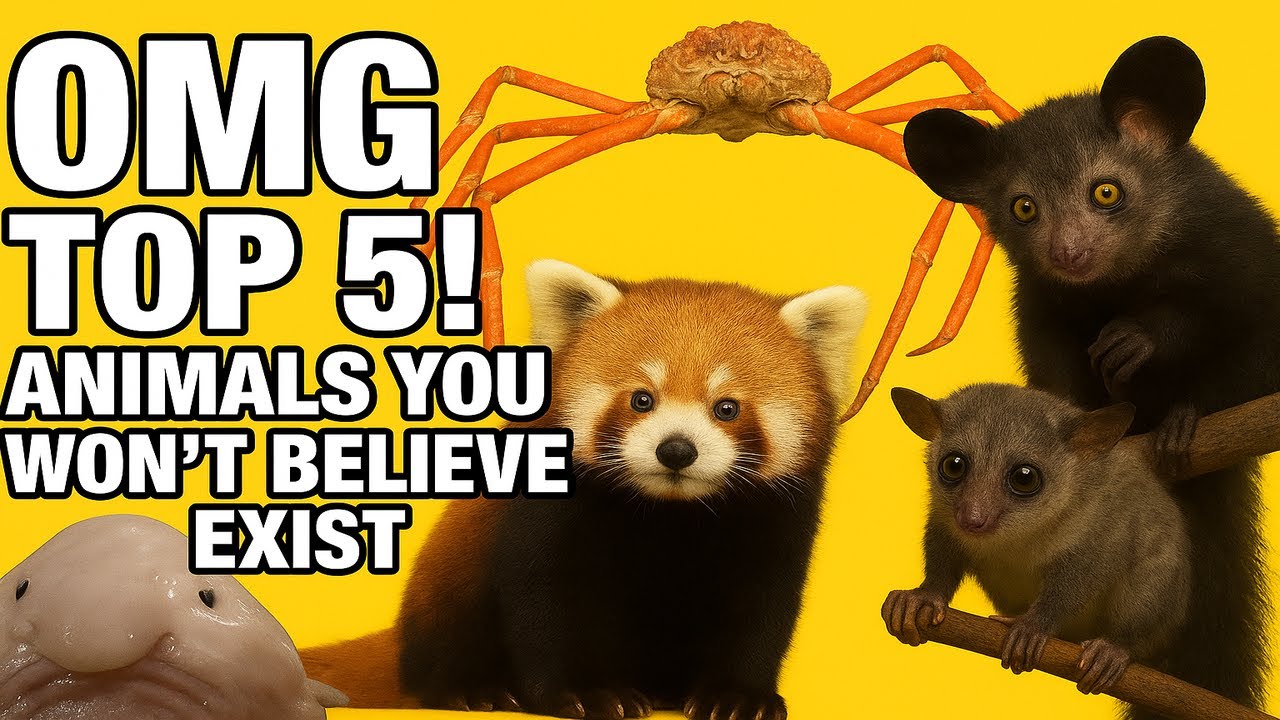 Top 5 Animals You Won't Believe Exist!
