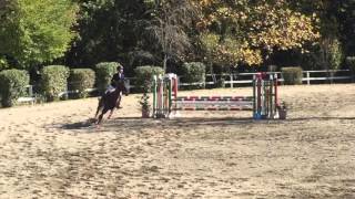 20151101 Nasu Michiko1