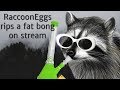 RaccoonEggs hits a bonk on stream, with edited visuals.