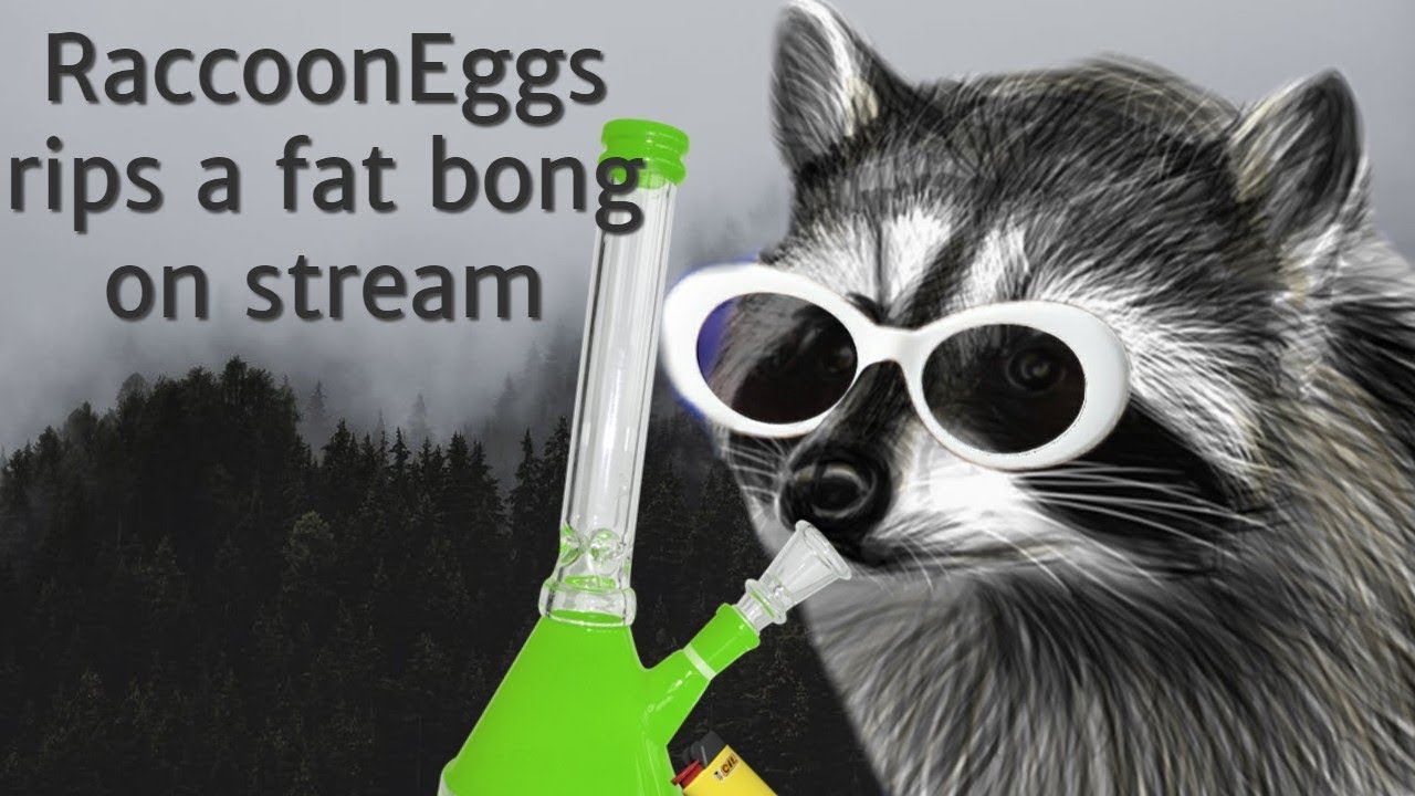 RaccoonEggs hits a bonk on stream, with edited visuals. YouTube