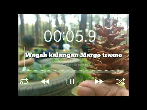 WEGAH KELANGAN||STORYWA