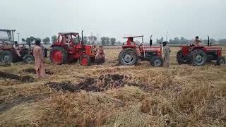 Messy And260 With Trala Rice Hard Working With Beautifully