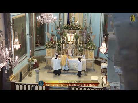 Solemne Vigilia Pascual. 4 de Abril  2026.