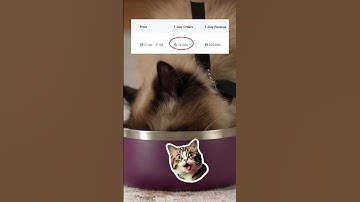 Is dropshipping dead?