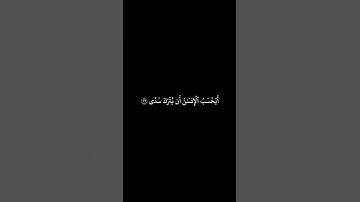 أَيَحۡسَبُ ٱلۡإِنسَٰنُ أَن يُتۡرَكَ سُدًى :القارئ عبد العزيز الفقيه :سورة القيامة