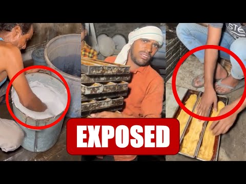Inside How INDIAN STREET FOOD Is REALLY Made