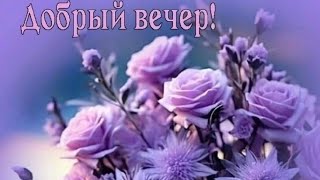 Чудесного Вечера♥️ Прекрасного Настроения 😊Хорошего Отдыха 💜💙