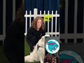 Would #Your# Dog Pick #$10,000 or Steak?