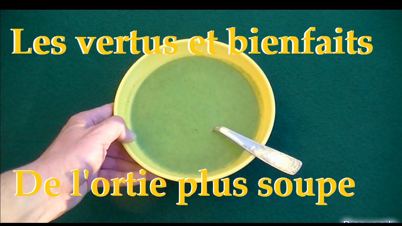 L'ortie, les vertus et les bienfaits pour la santé, plus recette de la