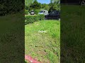 Garden Transformation in Glasgow