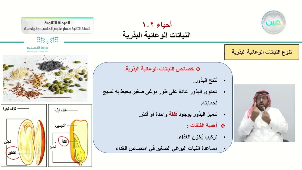 النباتات الوعائية البذرية - الأحياء (2-1) - مسار علوم الحاسب والهندسة - السنة الثانية