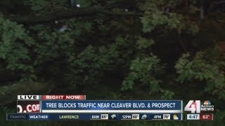 Downed tree blocks traffic on Cleaver II Boulevard