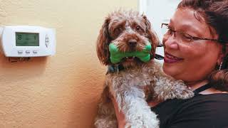 High Electric Bill Shocks Desoto Resident As Temperatures Climb Over 100 Degrees