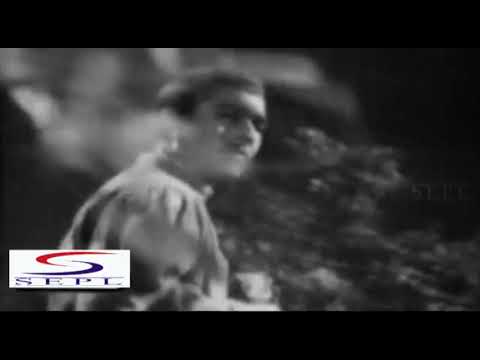 Le Ja Meri Duayein - লী জা মেরী দুযেইন Music Video Thumbnail in Assamese