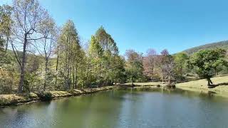 89 acres of residential and recreational land for sale in Giles County, VA!