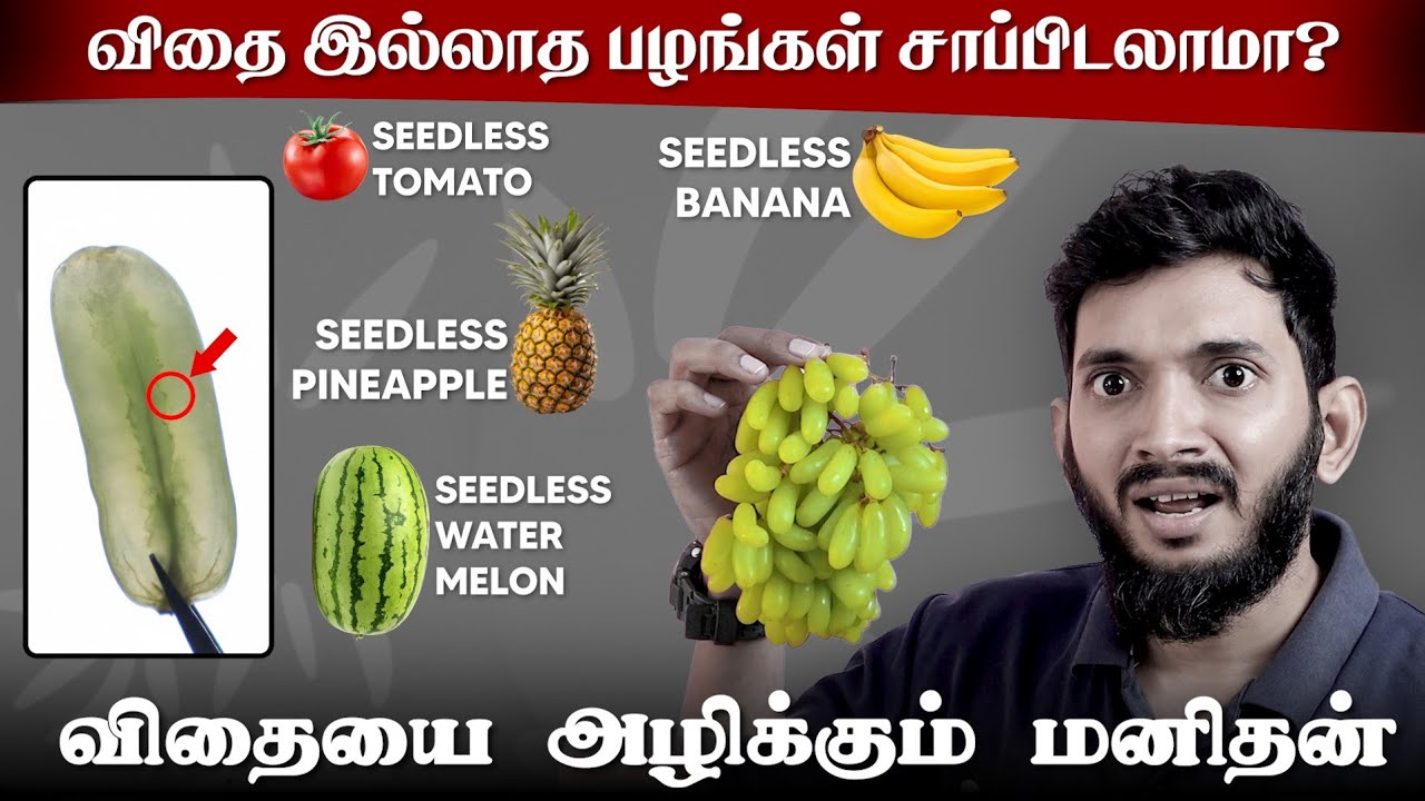 விதை இல்லாத பழங்கள் உருவாவது எப்படி? வாழைப்பழத்திலும் விதை இல்லையா?😲😲| Reality of seedless fruits..
